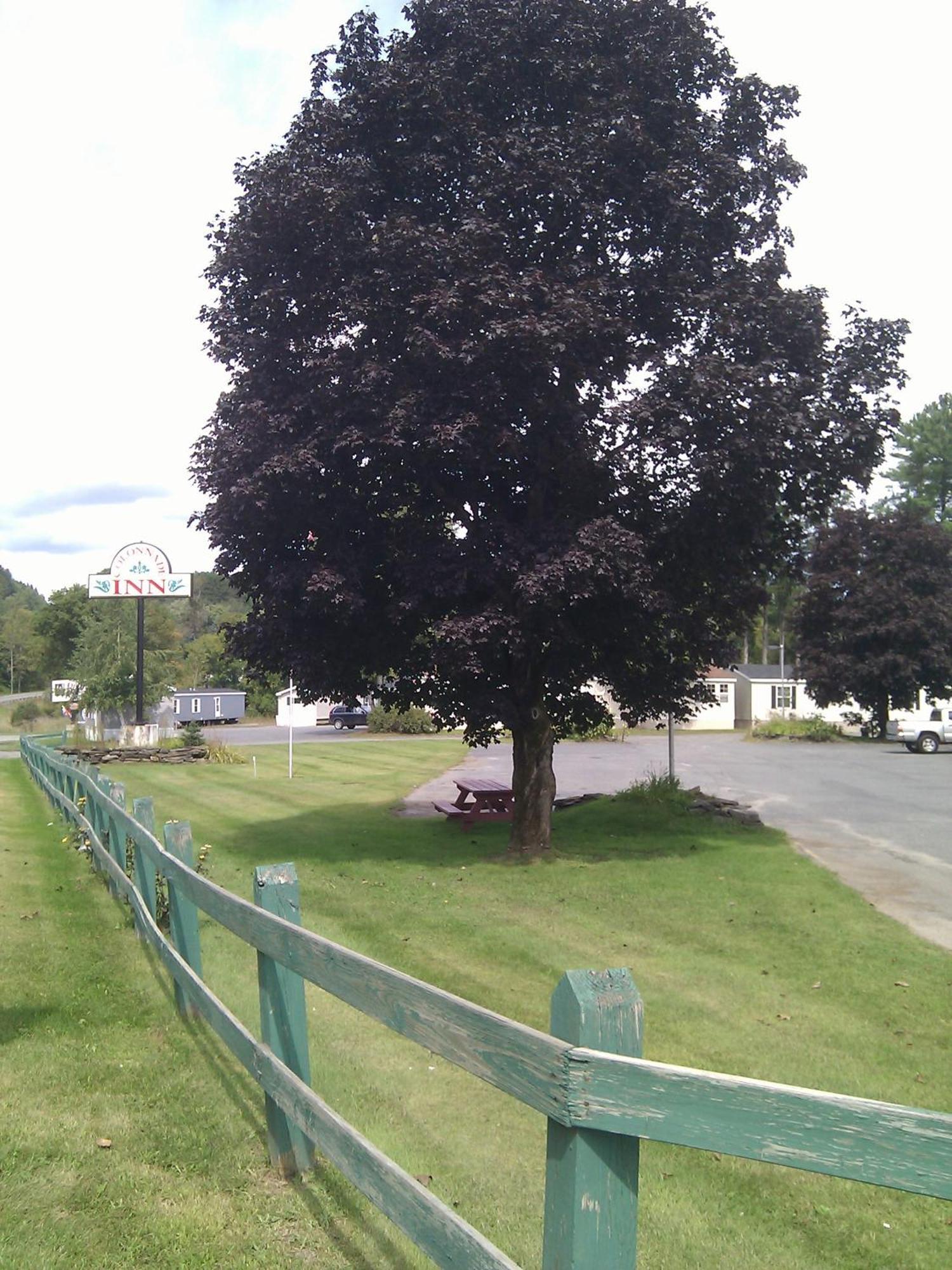 Colonnade Inn Lyndonville Dış mekan fotoğraf